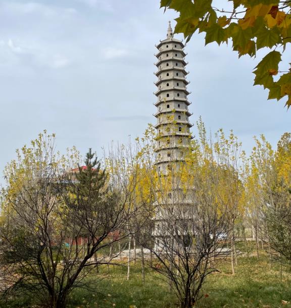 《懂懂骑山东》--菏泽东明县配图