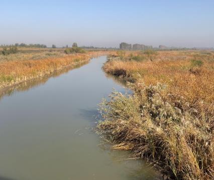 《懂懂骑山东》--滨州市博兴县配图