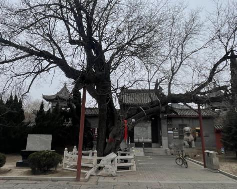 《懂懂骑山东》--滨州市邹平市配图 《懂懂骑山东》--滨州市邹平市配图