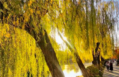 一定要舍得给自己花钱配图