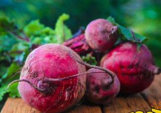 微信种菜赚钱每天10元是真的吗?微信种菜赚钱靠谱么?配图 微信种菜赚钱每天10元是真的吗?微信种菜赚钱靠谱么?配图