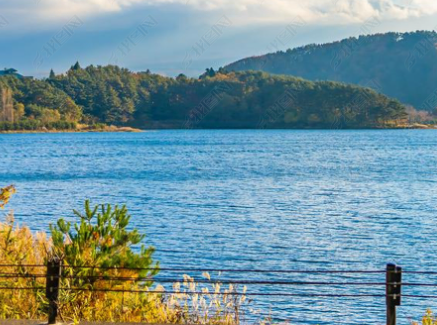 看完你便释怀了配图