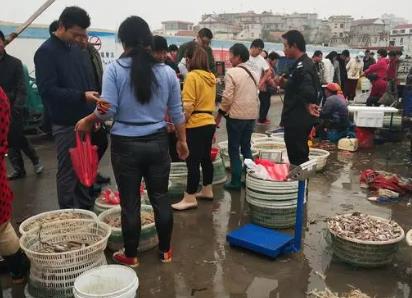 夏天吃什么海鲜？配图