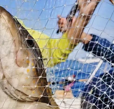 有钱人的生活再一次刷新了我的认知！配图