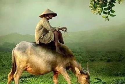 我借老战友5万救儿子，20年不联系配图