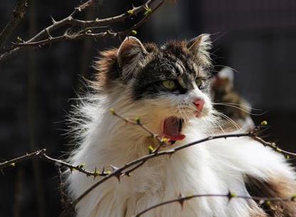 刚入职不久,人事主管张姐找我说想蹭我的车上下班配图 刚入职不久,人事主管张姐找我说想蹭我的车上下班配图