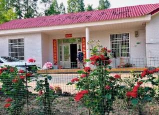 中午的时候，接到父亲打来的电话配图