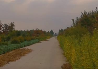 舅舅从北京回来谈生意在我家借住了三天配图