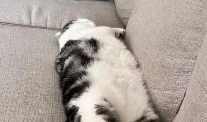 我朋友太睿智了，40多岁开始躺平配图