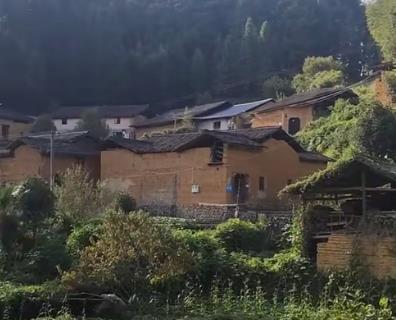 今天到乡下看望姑姑配图