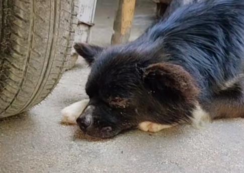 前些年问农村80岁左右的老人，为啥很多村民不愿意村村合并配图