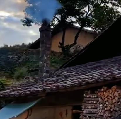 女儿第一次跟男友回老家，两人坐的绿皮车配图