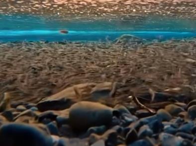 生活处处是中壹，大自然教会大家养生配图