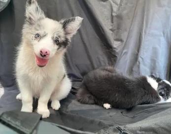 无论生活有多难，永远不要向孩子诉苦配图