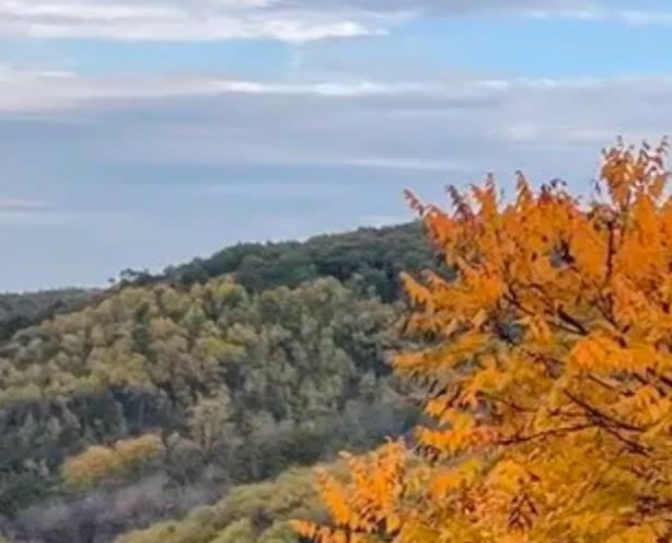 西北的秋天说来就来，从来不墨迹也不会拖沓配图