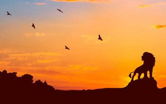 兼职副业有哪些常见的赚钱方式？配图