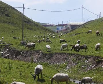 想要爱别人之前,你最应该先去爱一个人,那个人就是你自己配图 想要爱别人之前,你最应该先去爱一个人,那个人就是你自己配图