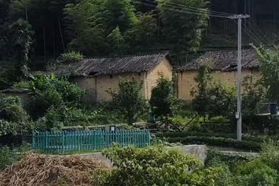 退休后，落叶归根配图