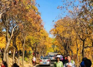 周六日不上班做什么不是很累,还能赚点零花钱?配图 周六日不上班做什么不是很累,还能赚点零花钱?配图