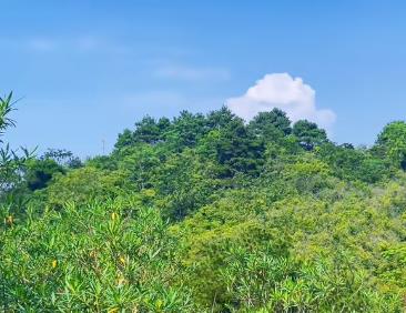 绕村庄走一圈,打消了回老家度晚年的念头配图 绕村庄走一圈,打消了回老家度晚年的念头配图