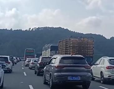 我弟不婚,尚未婚配图 我弟不婚,尚未婚配图