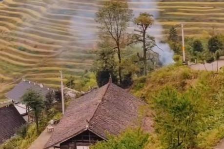 我哥从桂林跑回来给父母割稻子,一来一回两趟油费油费一千加。配图 我哥从桂林跑回来给父母割稻子,一来一回两趟油费油费一千加。配图