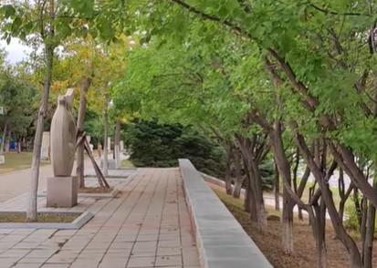 三爷爷年轻的时候,人高马大的配图 三爷爷年轻的时候,人高马大的配图