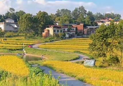 婆婆今年80高龄，婆婆是二婚配图