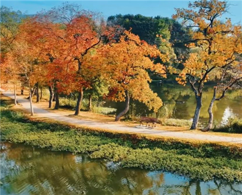 听说2024年除夕不放假配图 听说2024年除夕不放假配图