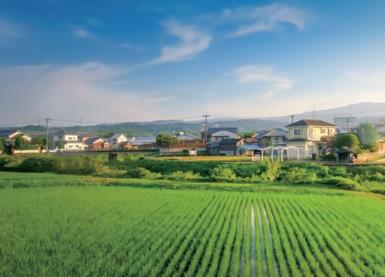 父母离婚那年我才三岁配图