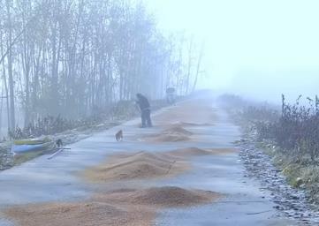 秋收的序曲是从铁匠铺开始的配图 秋收的序曲是从铁匠铺开始的配图