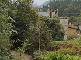 在未来亲家那里吃了一餐饭，我决定让女儿和她男朋友分手配图