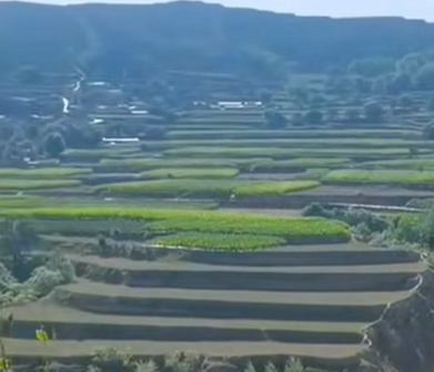 娘家是女人心里最柔软、最温馨、最踏实的避风港配图 娘家是女人心里最柔软、最温馨、最踏实的避风港配图