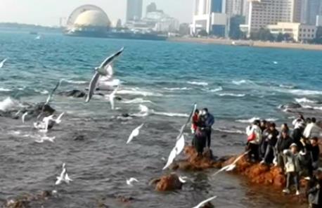 来说说冬天闭藏的重要性配图 来说说冬天闭藏的重要性配图