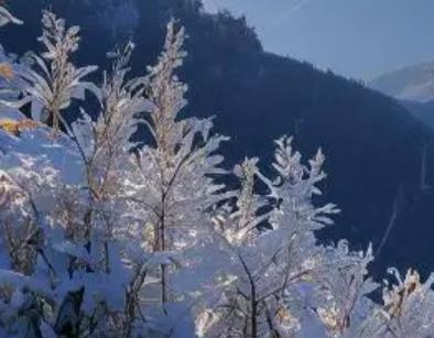 世界上真正珍贵的东西是廉价的,甚至是免费的配图 世界上真正珍贵的东西是廉价的,甚至是免费的配图