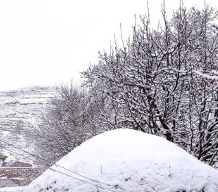 在职场中工作，刚开始人微言轻，也就为混个五斗米配图