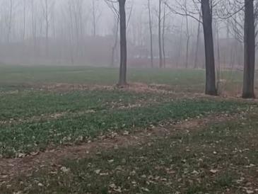 你相信托梦吗？配图