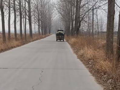 快过年，小姑子小叔子都回了家配图