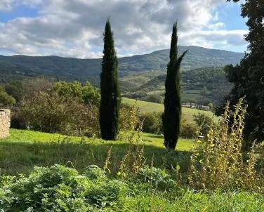 一天,撒贝宁问董宇辉: