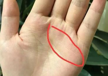 凡是大富之人，挫折只是过程配图