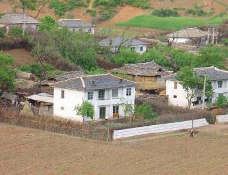 我们的家，如蚂蚁筑巢配图