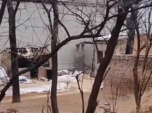 奶奶在世的时候，姑姑们总是买桃酥冰糖孝敬奶奶配图