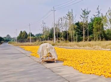 30年前一个同学打来电话配图 30年前一个同学打来电话配图