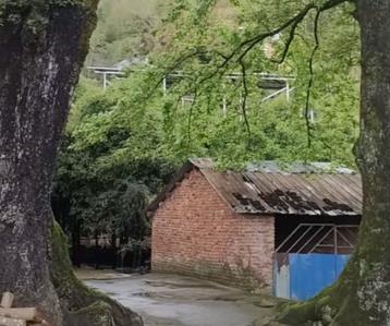 1990年，师范毕业，我成为了一名乡村教师配图