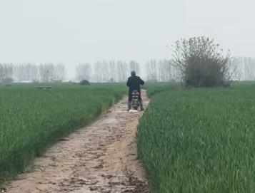 清明前三天，雨一直下配图