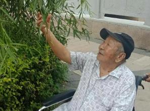 我的父亲已经93岁了配图