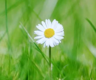 有的人起始于相逢，终止于相处配图