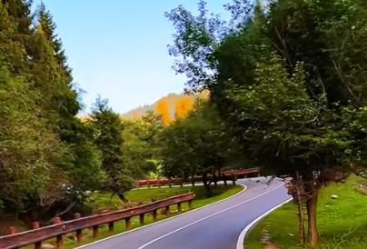 一篇来自《百年孤独》的读后感配图