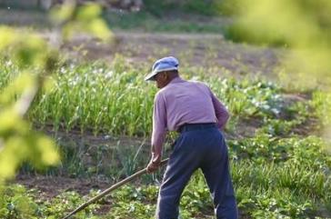 农村创业做什么能赚钱?农村搞什么生意目前赚钱比较容易?配图 农村创业做什么能赚钱?农村搞什么生意目前赚钱比较容易?配图