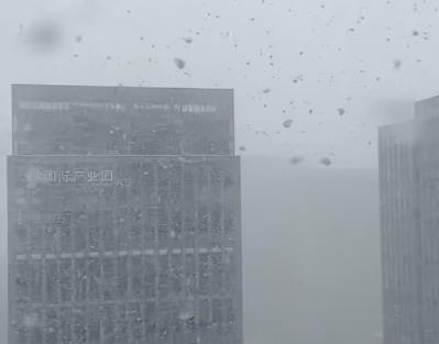 为什么今年大学生就业这么难?配图 为什么今年大学生就业这么难?配图